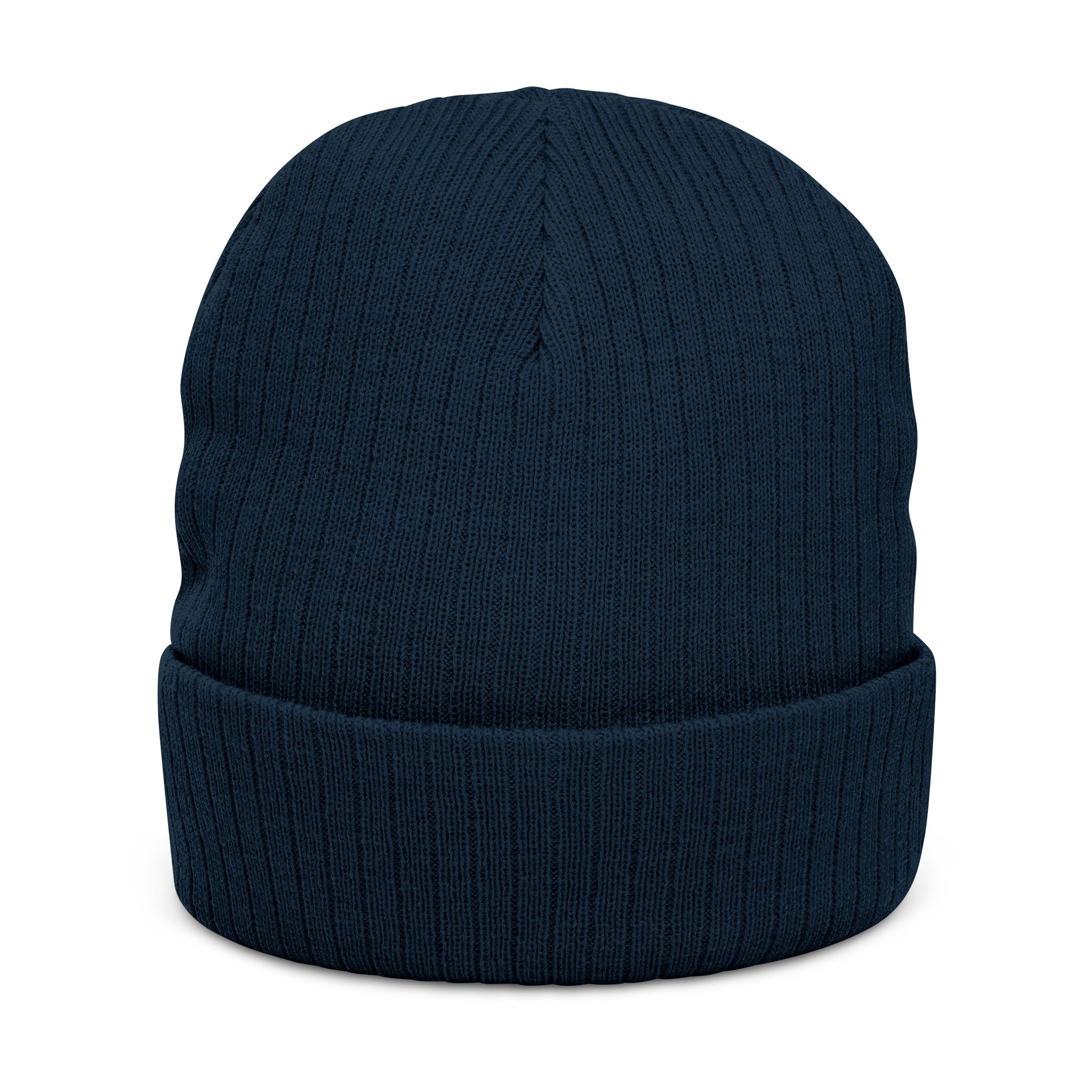 Embroidered Logo Ribbed Beanie — Insane