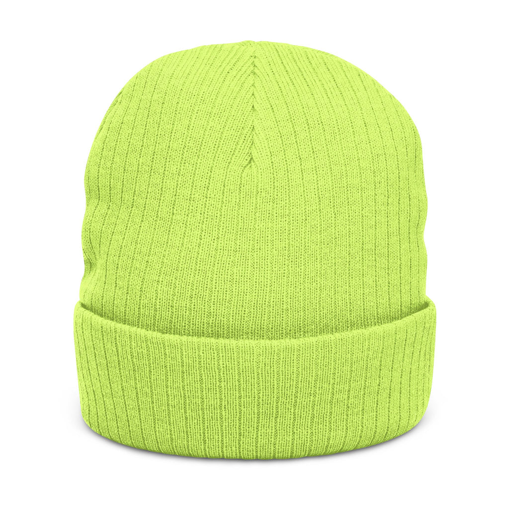 Embroidered Logo Ribbed Beanie — Insane