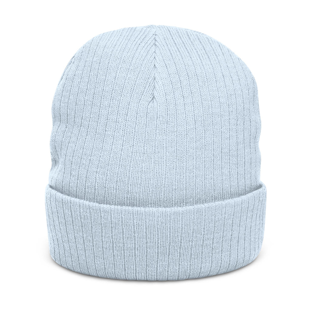 Embroidered Logo Ribbed Beanie — Insane