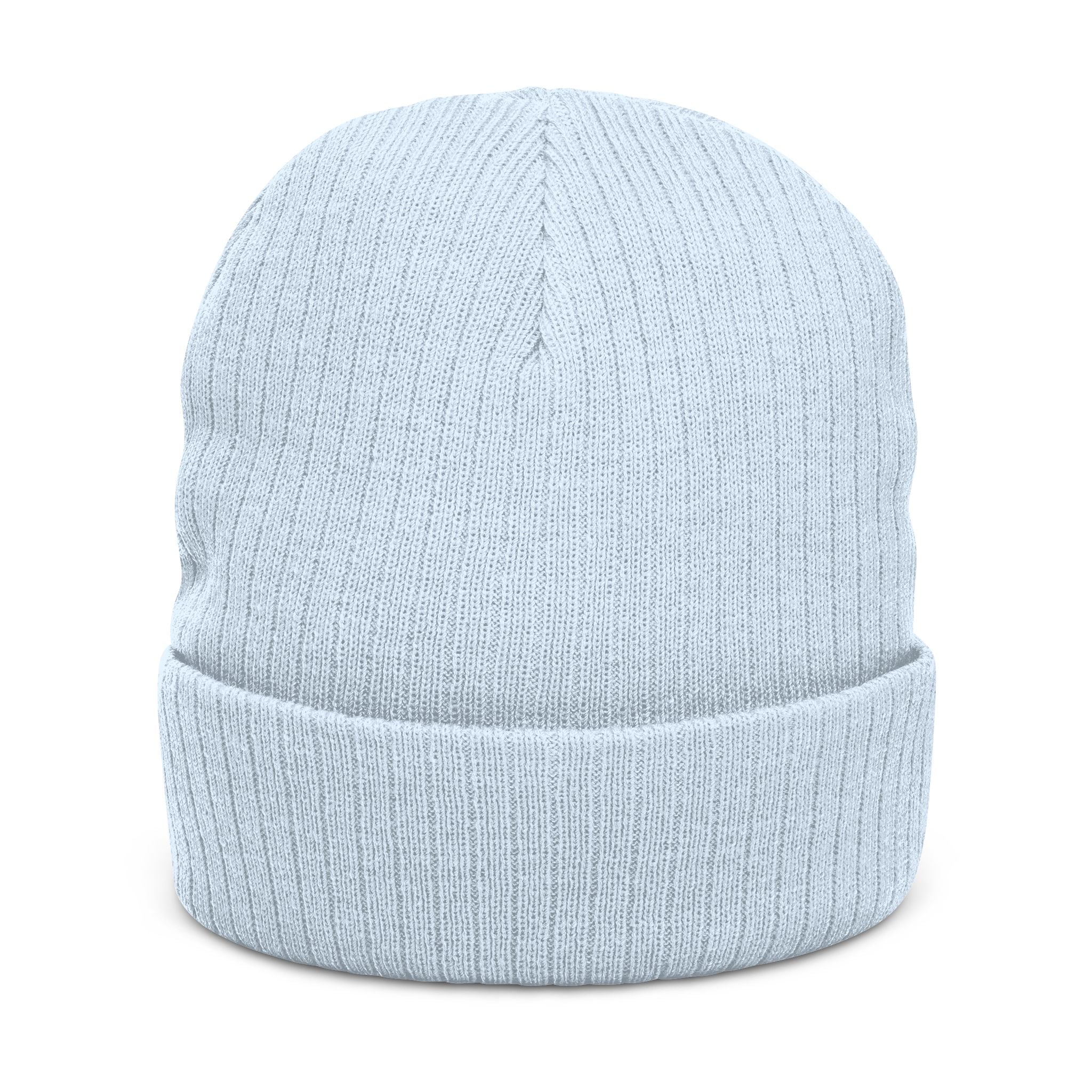 Embroidered Logo Ribbed Beanie — Insane