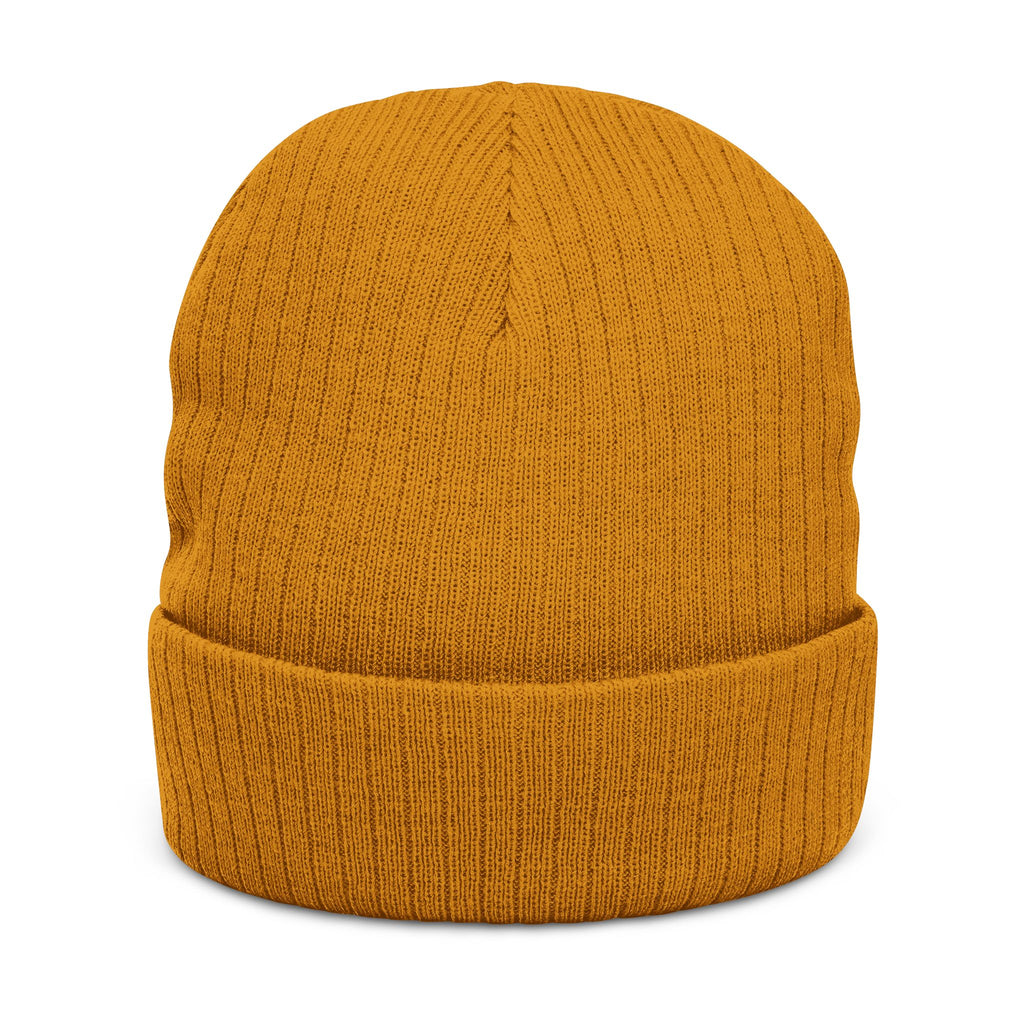 Embroidered Logo Ribbed Beanie — Insane